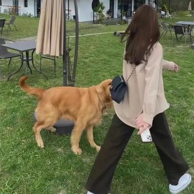 关于我妈的一切