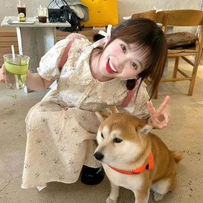解码危机